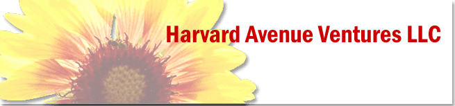 Harvard Avenue Ventures